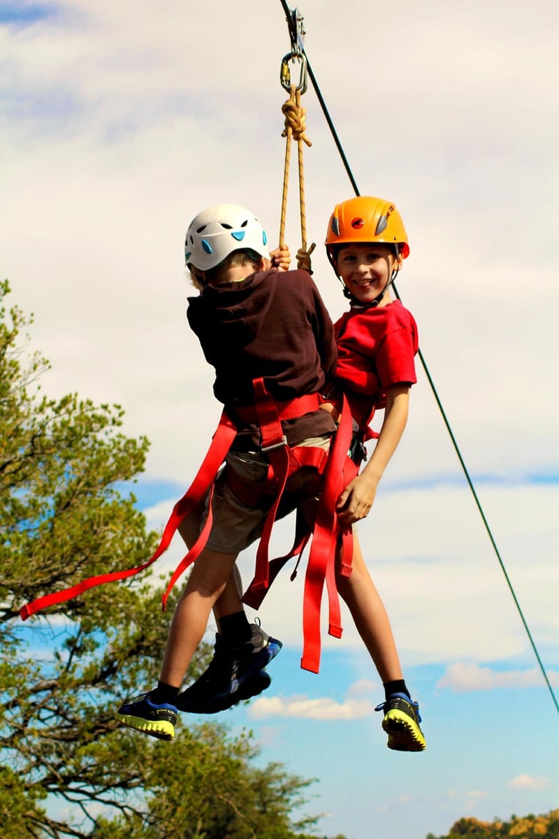 Zip Line Adventure